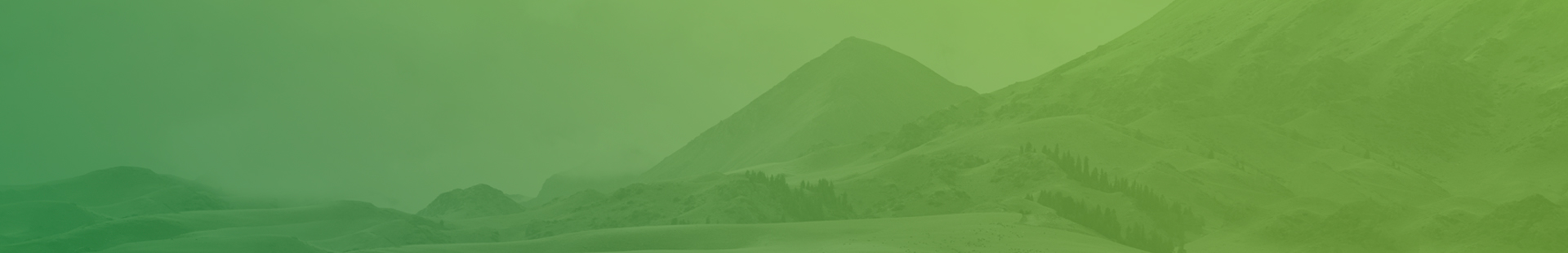 banner-header-1920x310